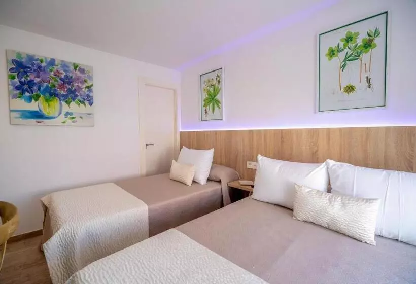 پانسیون Petit Malaga Congress