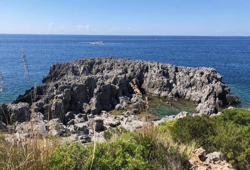 B&b Verdemare Camerota