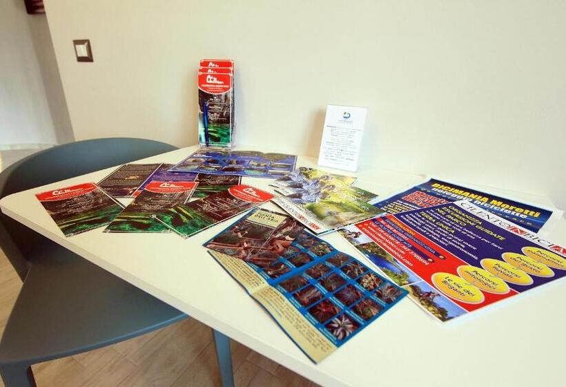 B&b Verdemare Camerota