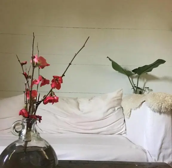 ベッドアンドブレックファースト Casa Típica De Tigre