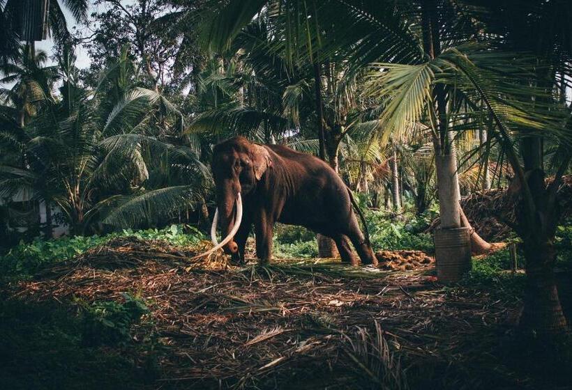 Отель Amber House Lanka