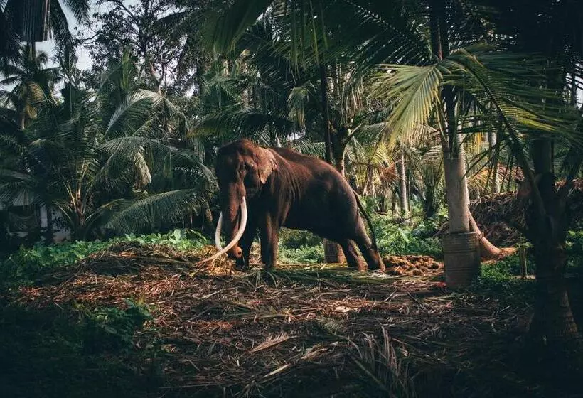 Hotelli Amber House Lanka