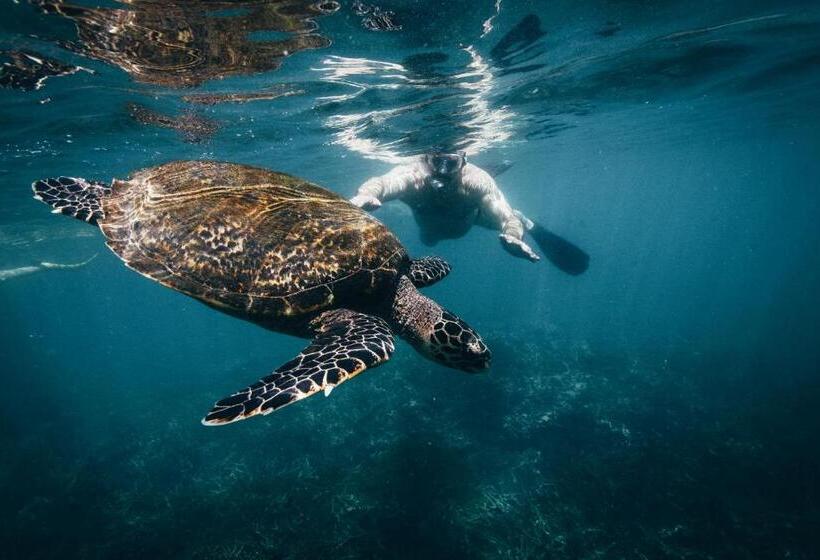 Отель Amber House Lanka