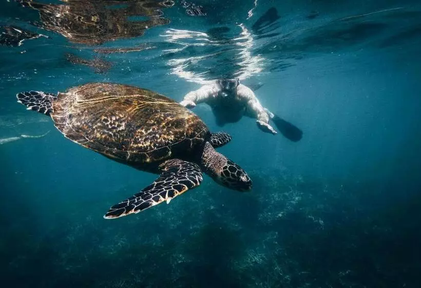 Hotelli Amber House Lanka