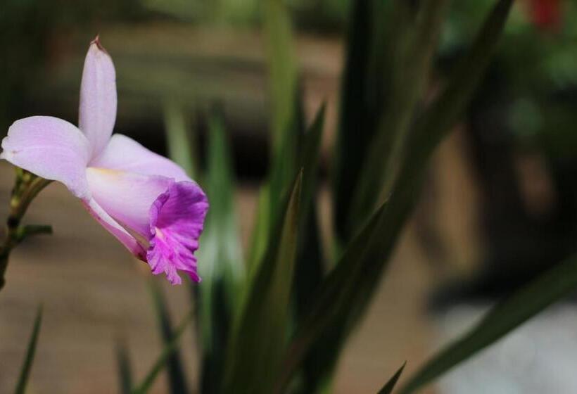 Общежитие Pousada Nossa Senhora Aparecida