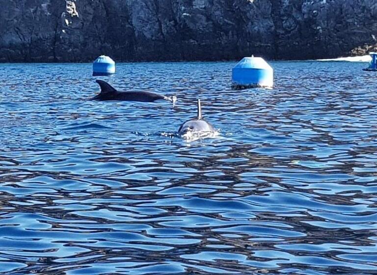 تختخواب و صبحانه Terrazas Del Sur