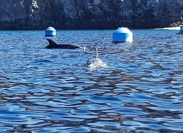 ベッドアンドブレックファースト Terrazas Del Sur