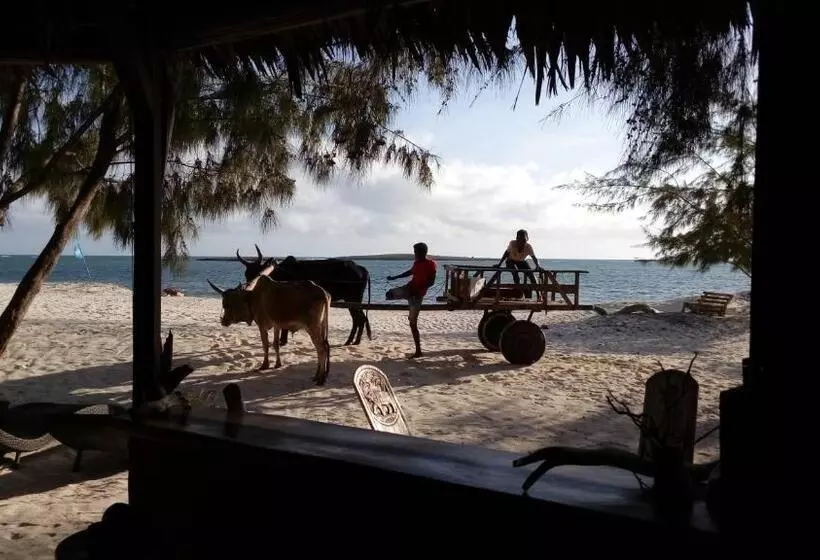 هتل Ocean Lodge Kite & Windsurf