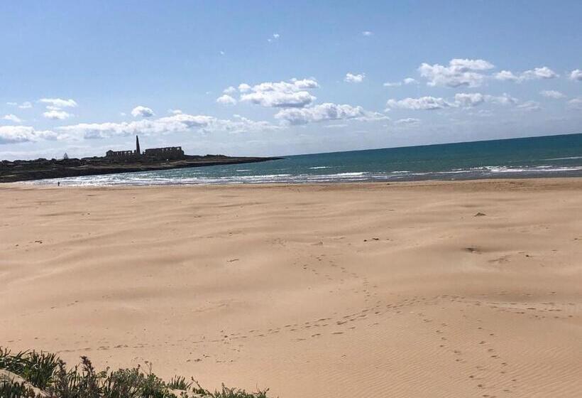 مبيت وإفطار Il Gelsomino