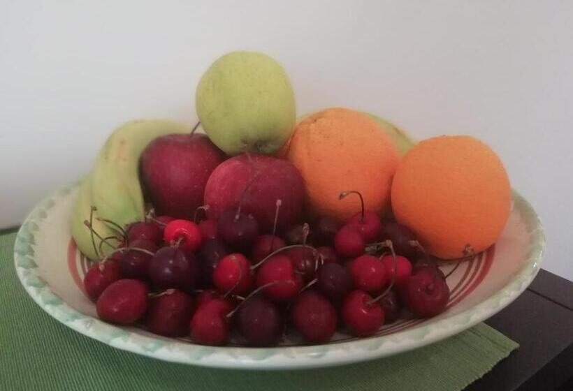 مبيت وإفطار Il Gelsomino