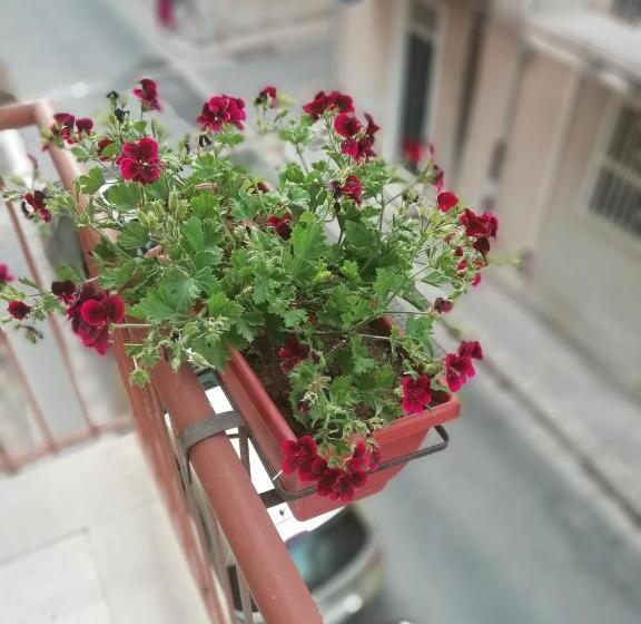 مبيت وإفطار Il Gelsomino