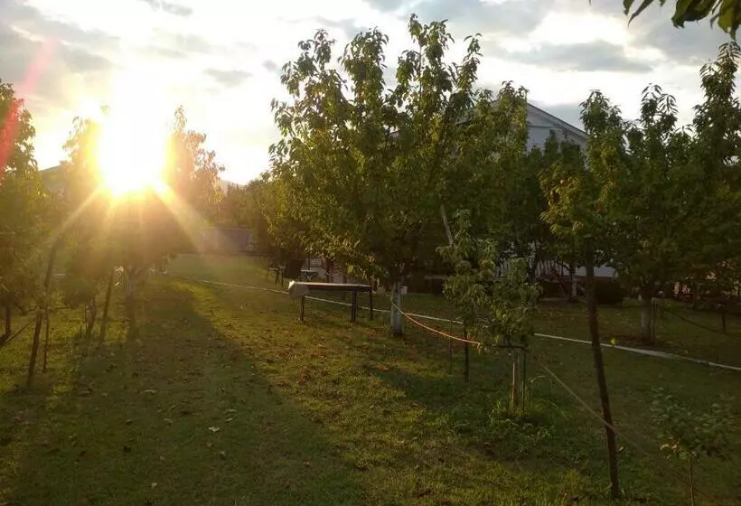 هتل Airport Home Radinovic