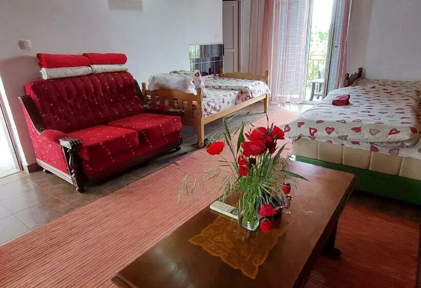 هتل Airport Home Radinovic