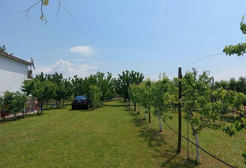 هتل Airport Home Radinovic