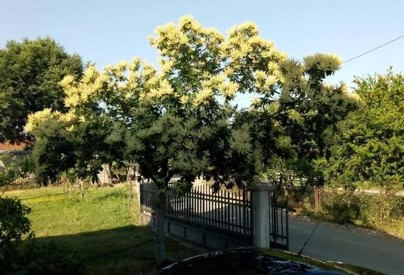هتل Airport Home Radinovic