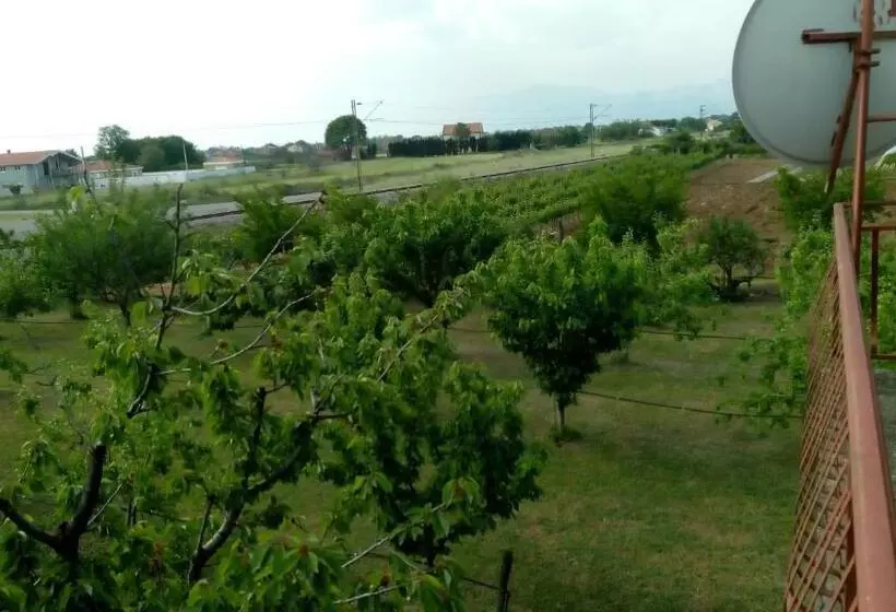 هتل Airport Home Radinovic