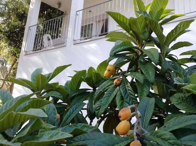 بنسيون In Campagna Da Nino