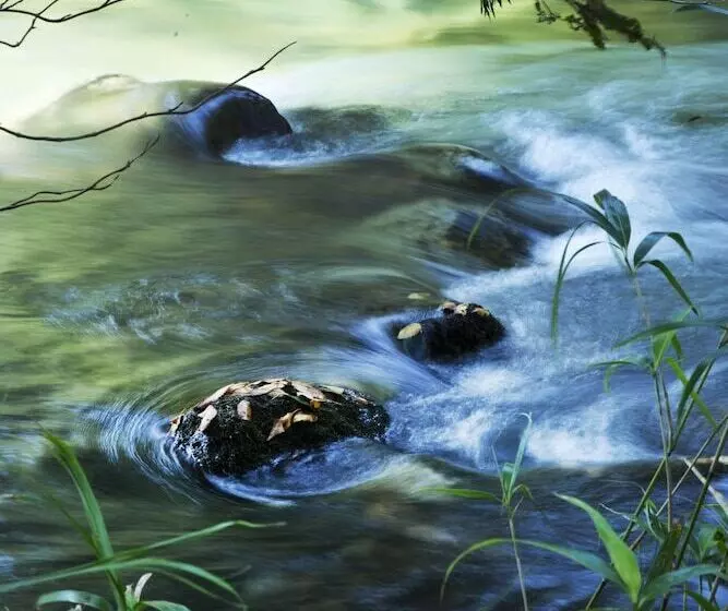 ユースホステル Seseraginomori Chambre D Hote Etoile Et Fees