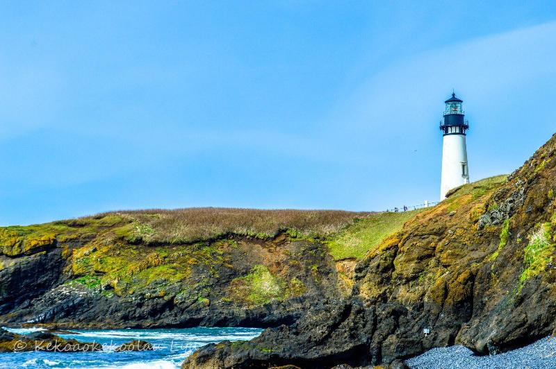 ユースホステル Moolack Shores Inn