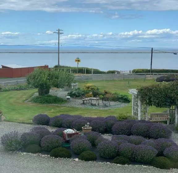 ベッドアンドブレックファースト Dungeness Barn House At Two Crows Farm
