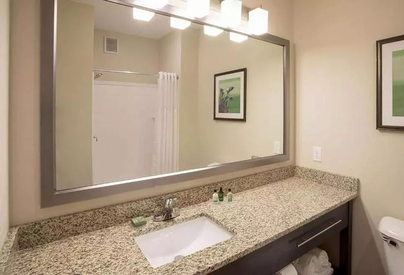 ホテル Little Crow Resort & Conference, Trademark By Wyndham