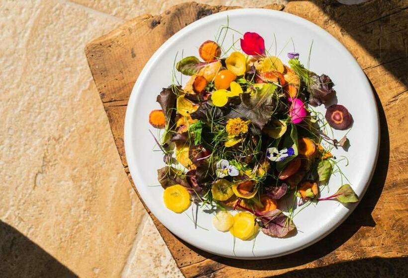 منتجع Ca' Del Moro Wine Retreat