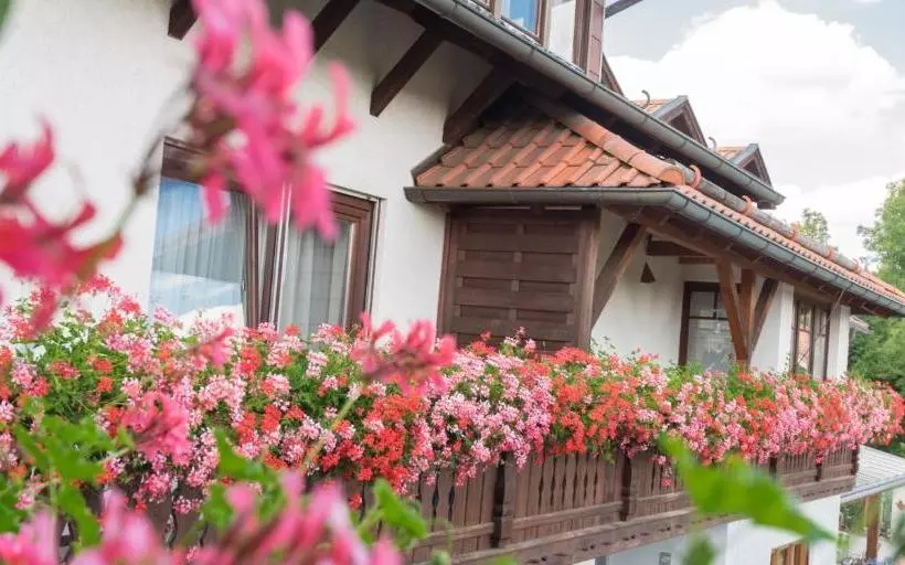 Pension Zum Ebenstein Am Donausteig