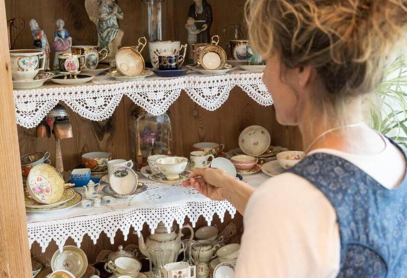 Pension Zum Ebenstein Am Donausteig