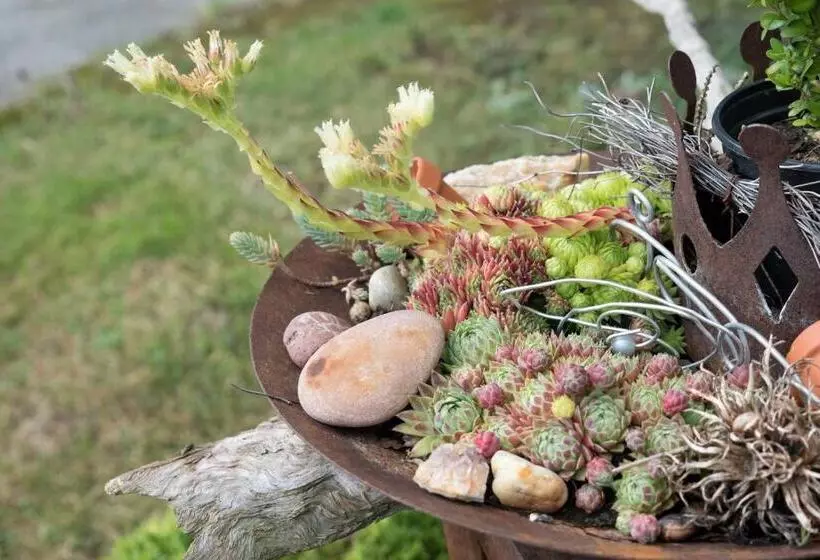 Pension Zum Ebenstein Am Donausteig