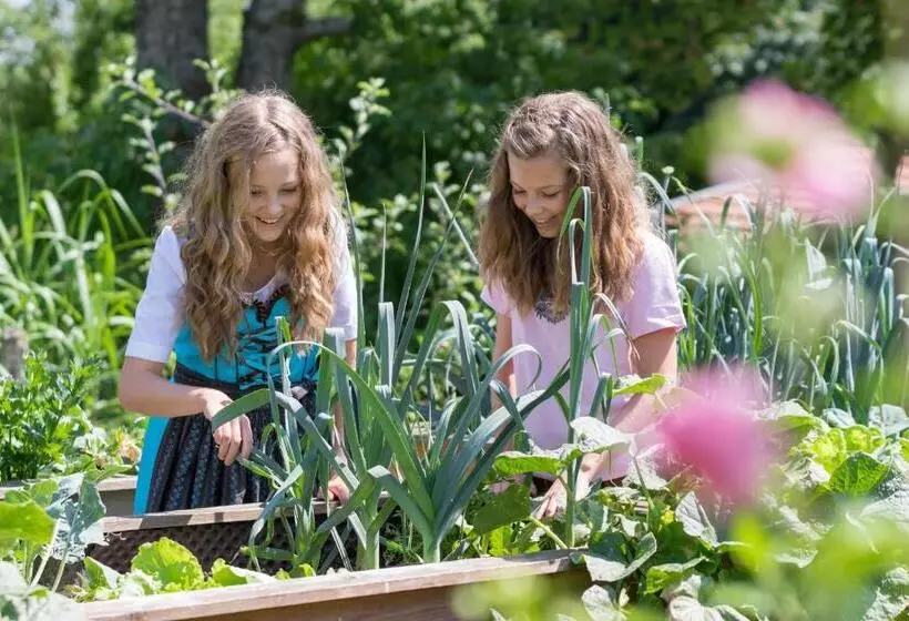 Pension Zum Ebenstein Am Donausteig