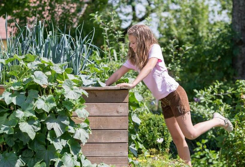 Pension Zum Ebenstein Am Donausteig