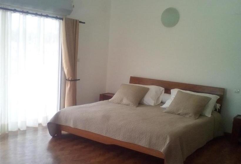 ベッドアンドブレックファースト Sahamalaza