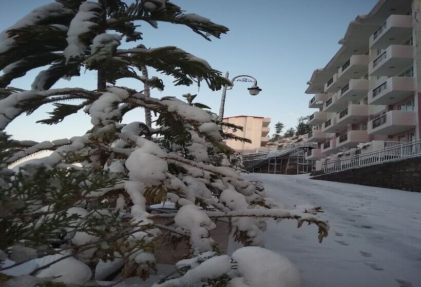 אתר נופש Spangle Heights Shimla, Suites & Residences