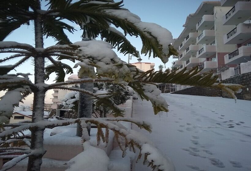 אתר נופש Spangle Heights Shimla, Suites & Residences