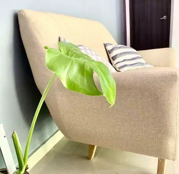 ペンション Montes De Beraka