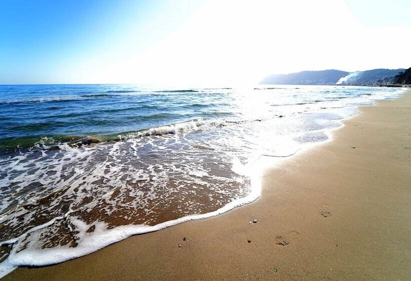 Bed & Breakfast My Home Alassio