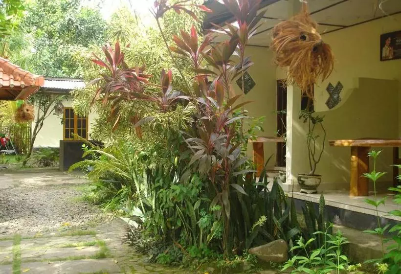 هاستل Penginapan Sedap Malam