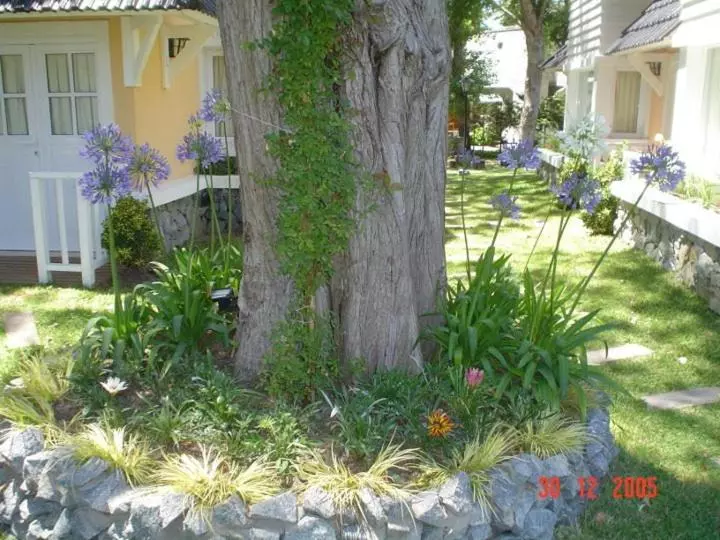 Lahuen Co Paraje De Mar