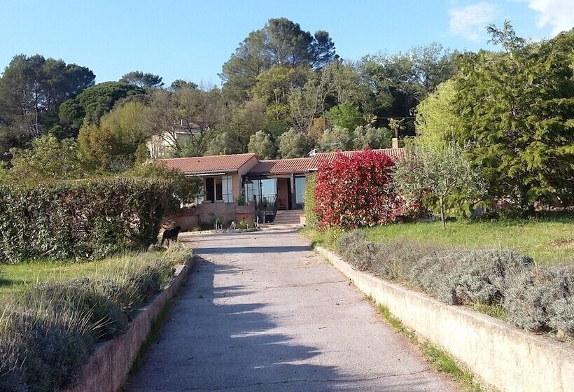 بنسيون Villa Lei Rigau