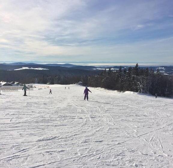 Bauernhofpension Runenhof