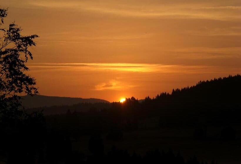 Bauernhofpension Runenhof