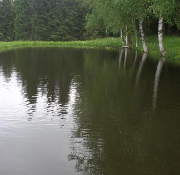 Bauernhofpension Runenhof