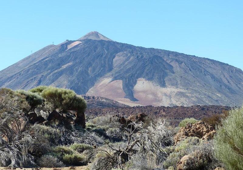 پانسیون German