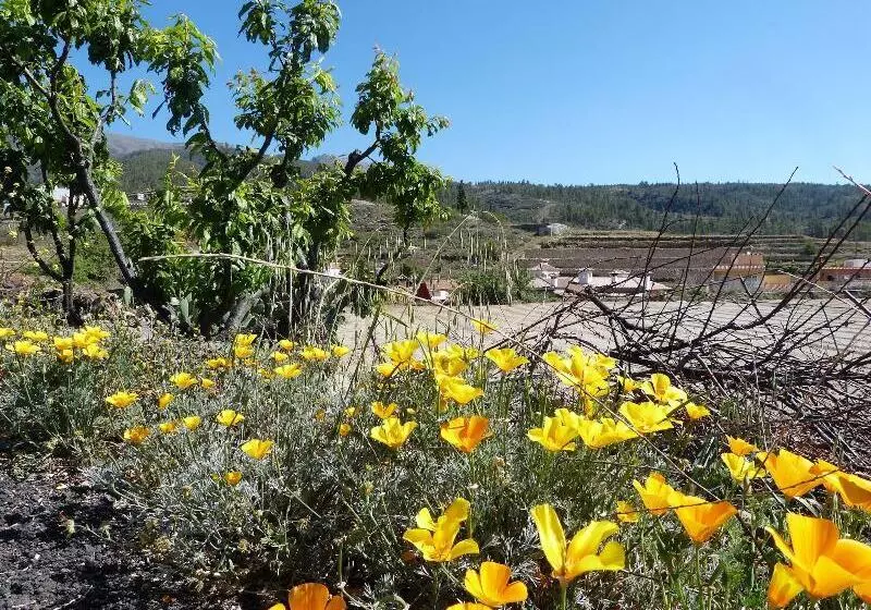 ペンション German