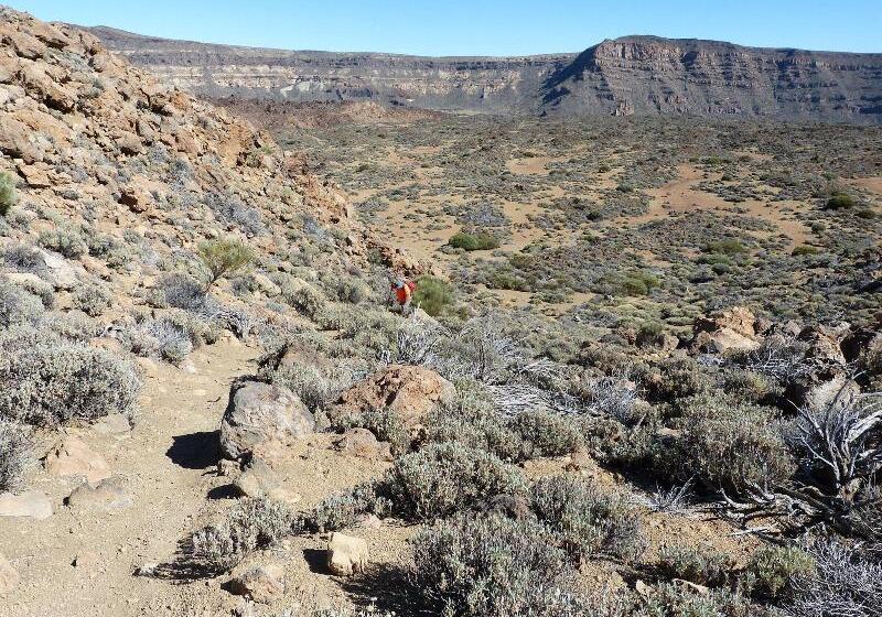 پانسیون German