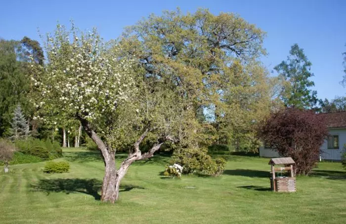 Pensionat Klåvasten