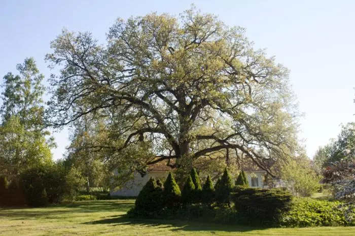 Pensionat Klåvasten
