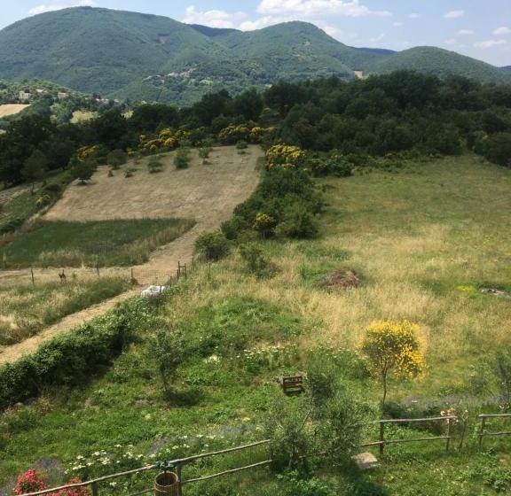 住宿加早餐  Casale Flaminia