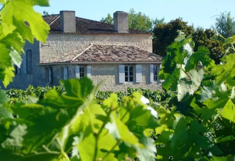 تختخواب و صبحانه Maison Le Sèpe   Vignoble Bio Et Maison D Hôtes