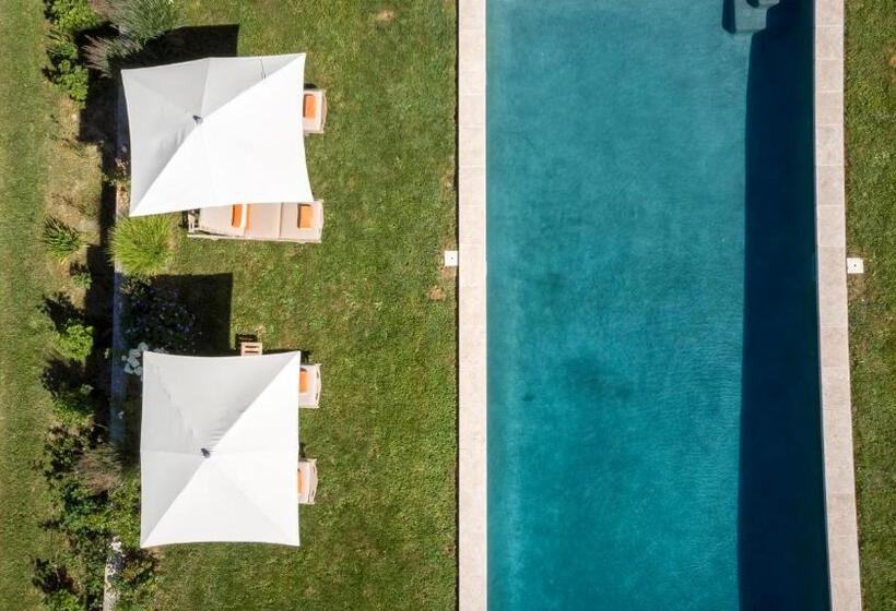 Bed and Breakfast Maison Le Sèpe   Vignoble Bio Et Maison D Hôtes